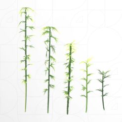 Alternative view of Bamboo Trees (10pcs)