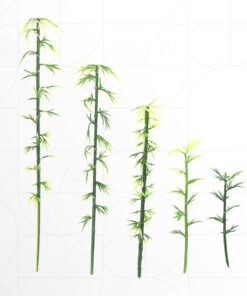 Alternative view of Bamboo Trees (10pcs)