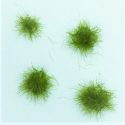 Small Bushes 0.5 cm | 4pcs - Image 2