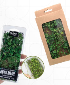 Alternative view of Climber Plant نبات متسلق Box