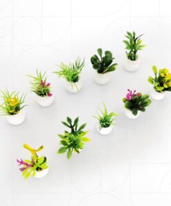 Pot Flower Plant (2pcs Set) Random Styles 2~3 cm