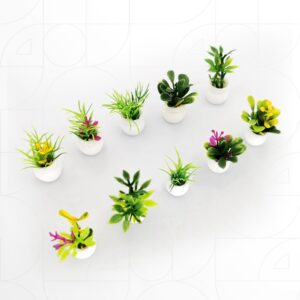 Pot Flower Plant (2pcs Set) Random Styles 2~3 cm