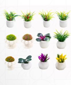 Alternative view of Pot Flower Plant (2pcs Set) Random Styles 2~3 cm